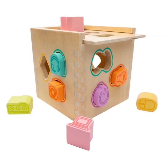 Shape Sorter Toy