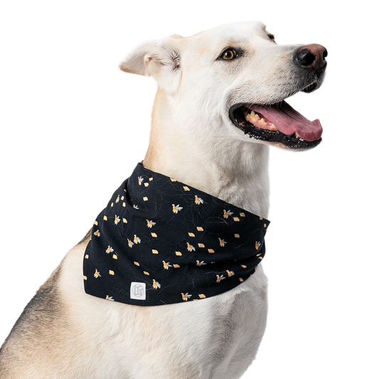 Screensaver Pet Bandana