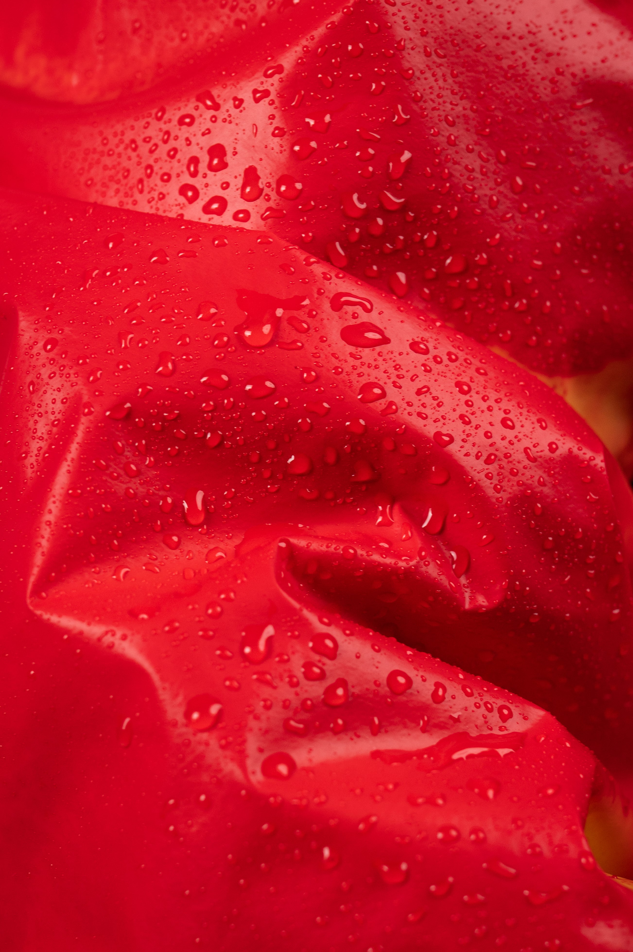 Thermochromic Jacket