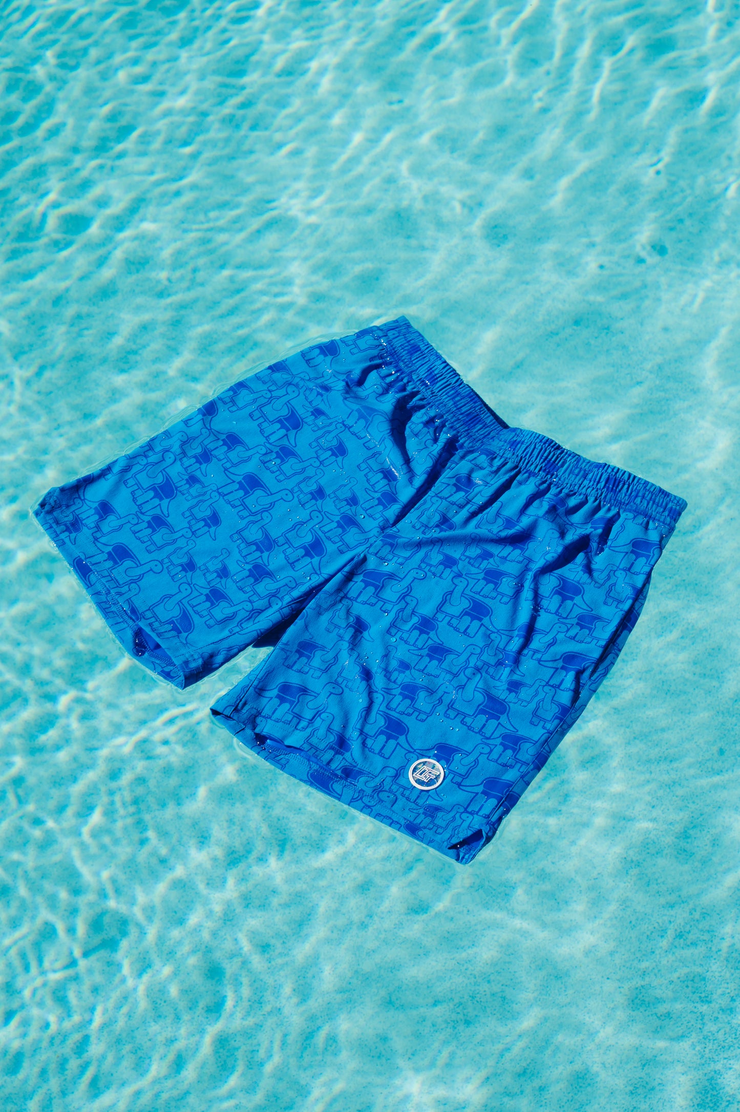 Hydrophase Swim Shorts