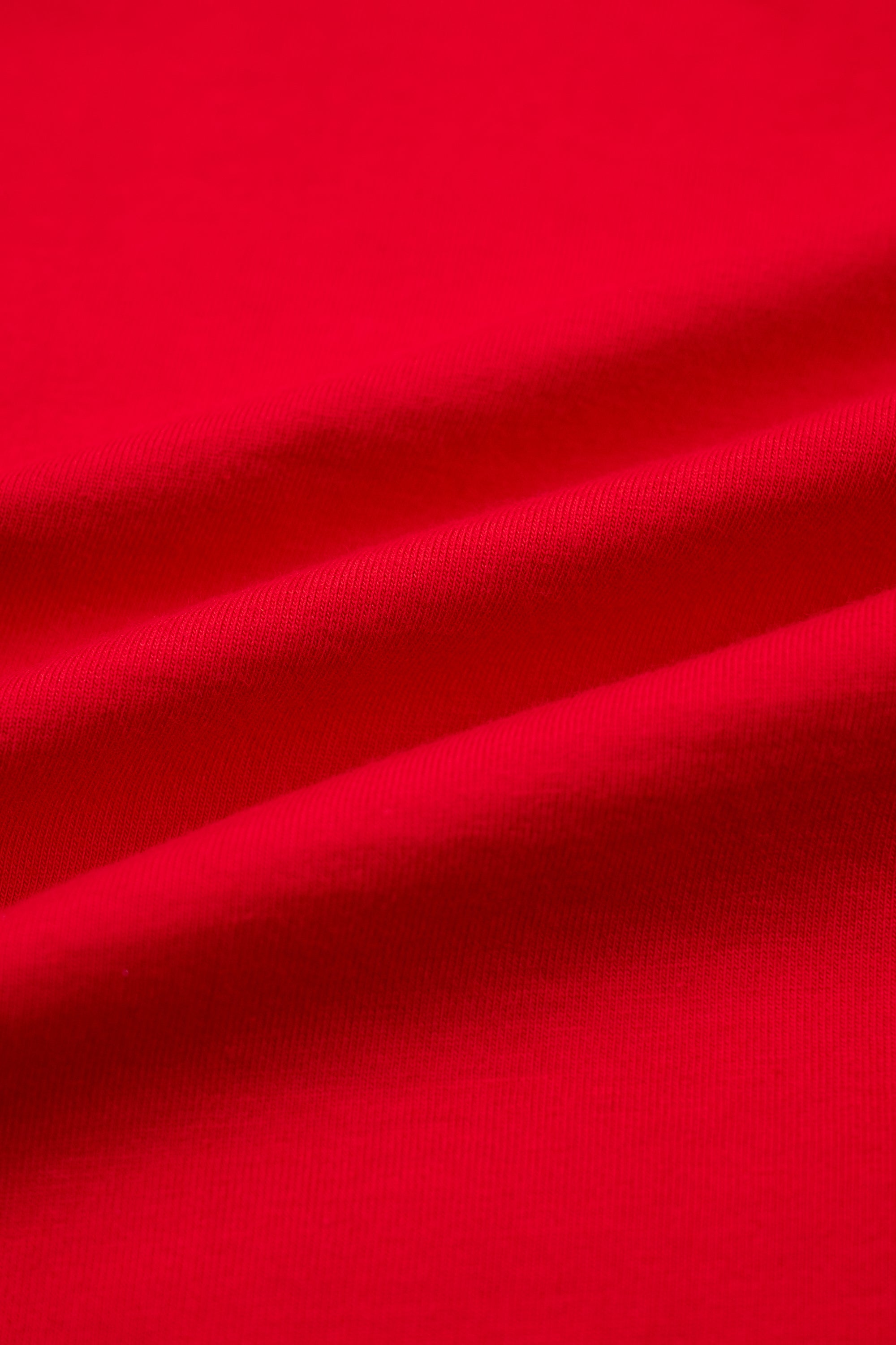 Sir Ability Toucan T-shirt