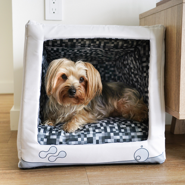 Retro pet bed hotsell