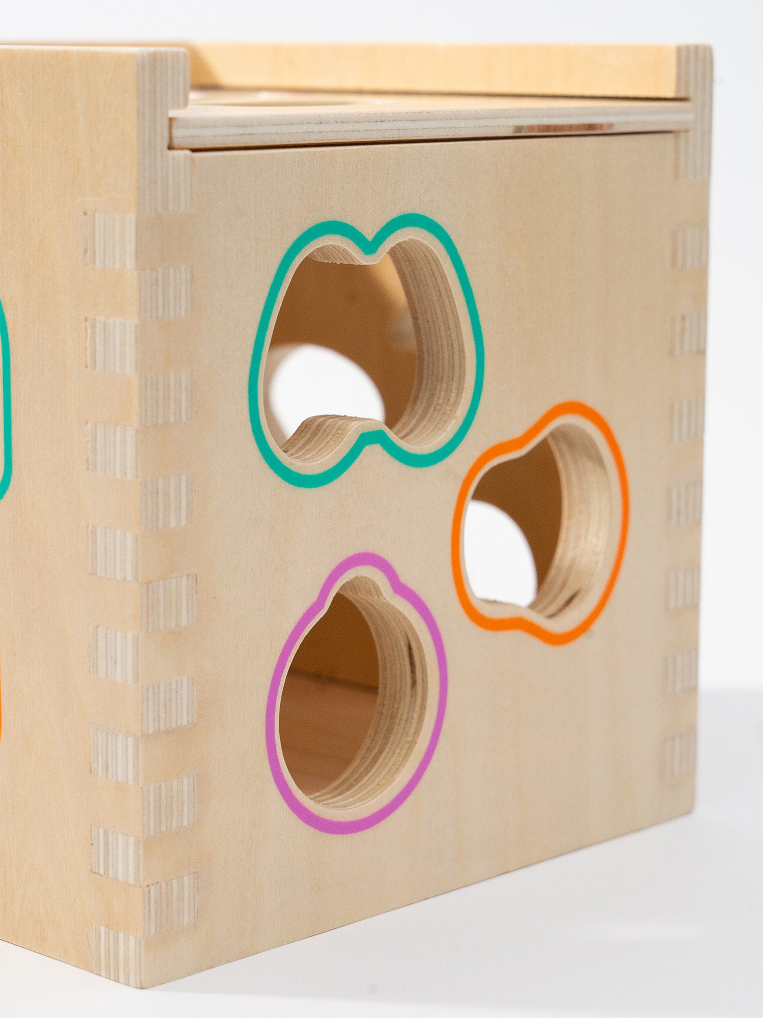 Shape Sorter Toy