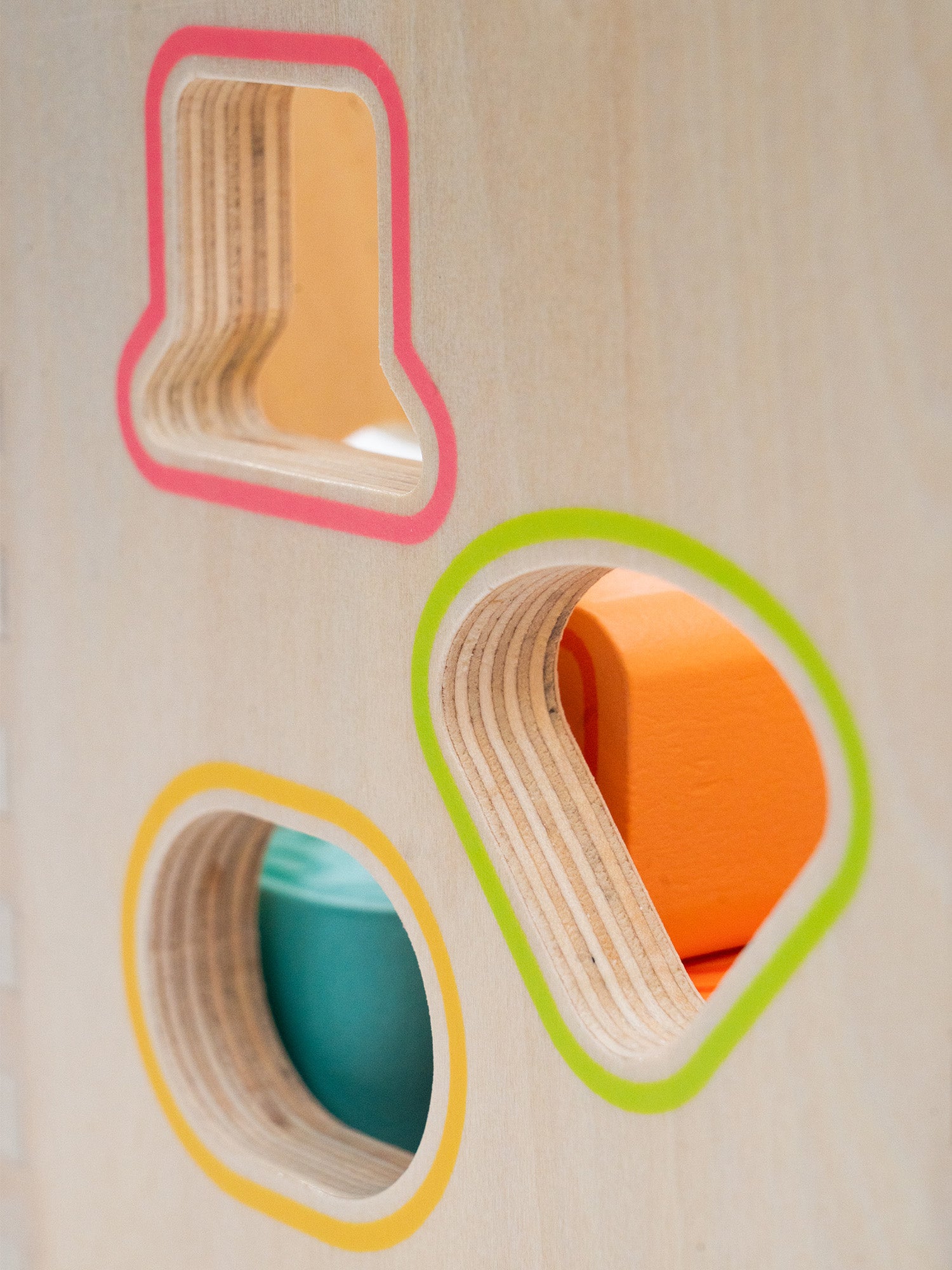 Shape Sorter Toy