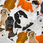 Pack d'autocollants animaux