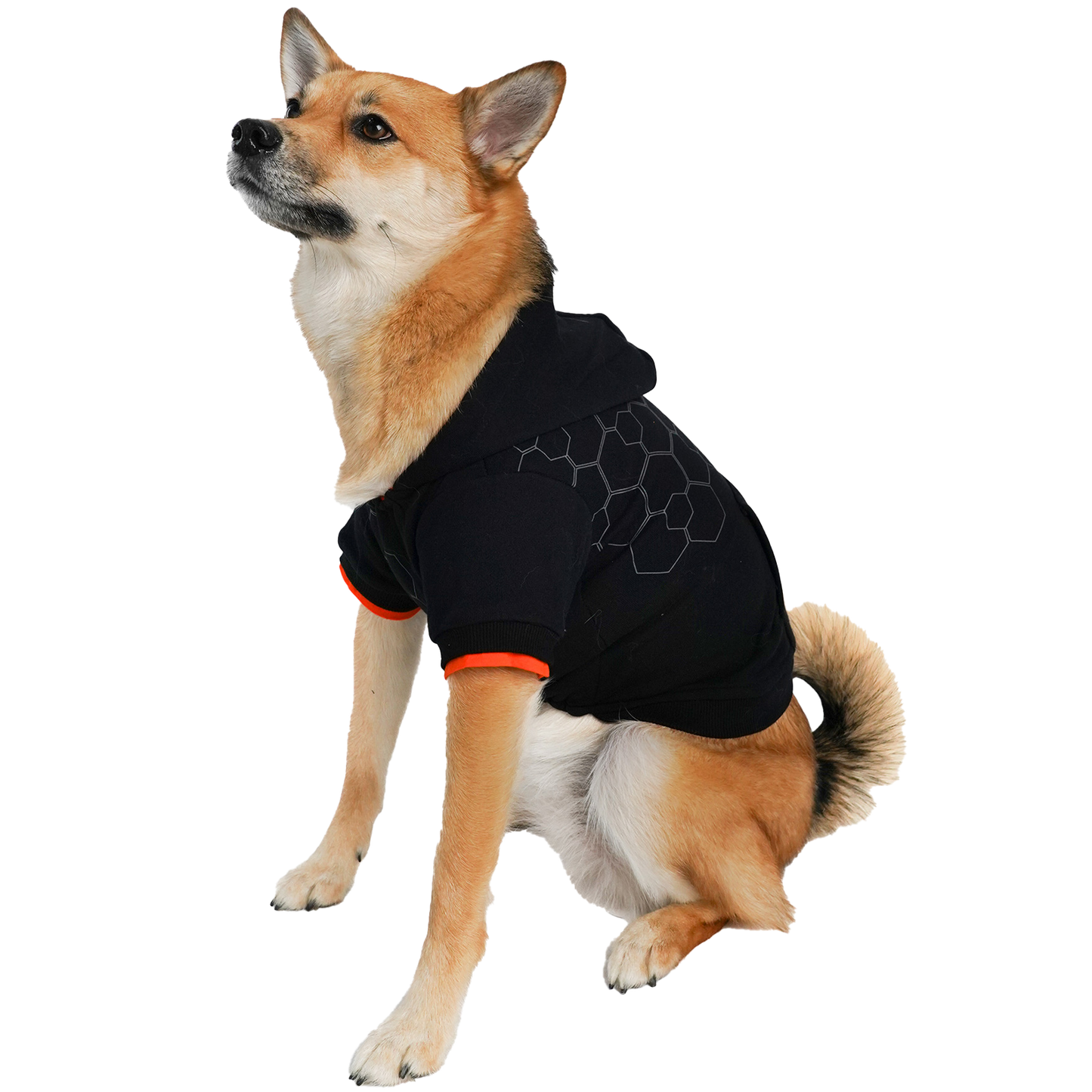 Wag a tude on sale dog clothes